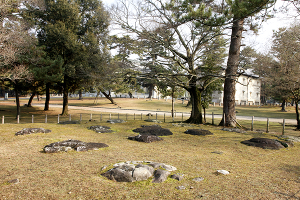 春日西塔跡　（奥になら仏像館を望む）